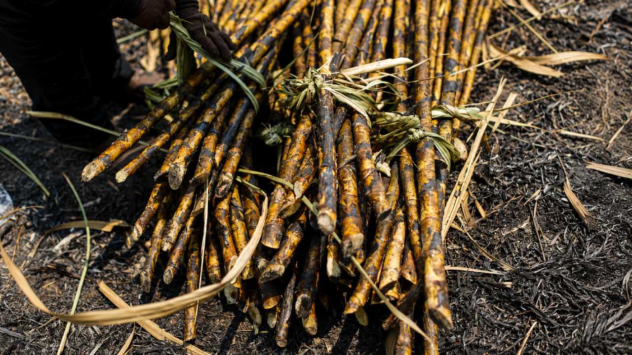 Extreme Weather and the Threat of El Niño Trigger Concerns About Global Food Prices